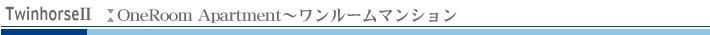 ツィンホースUのワンルームマンション