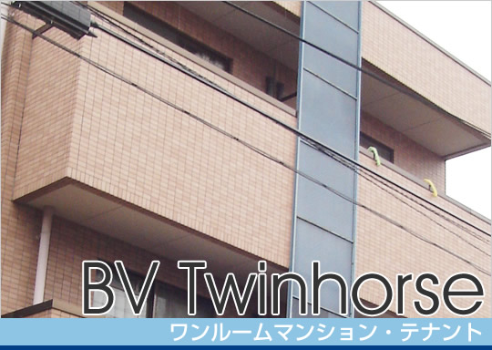 BV Twinhorse